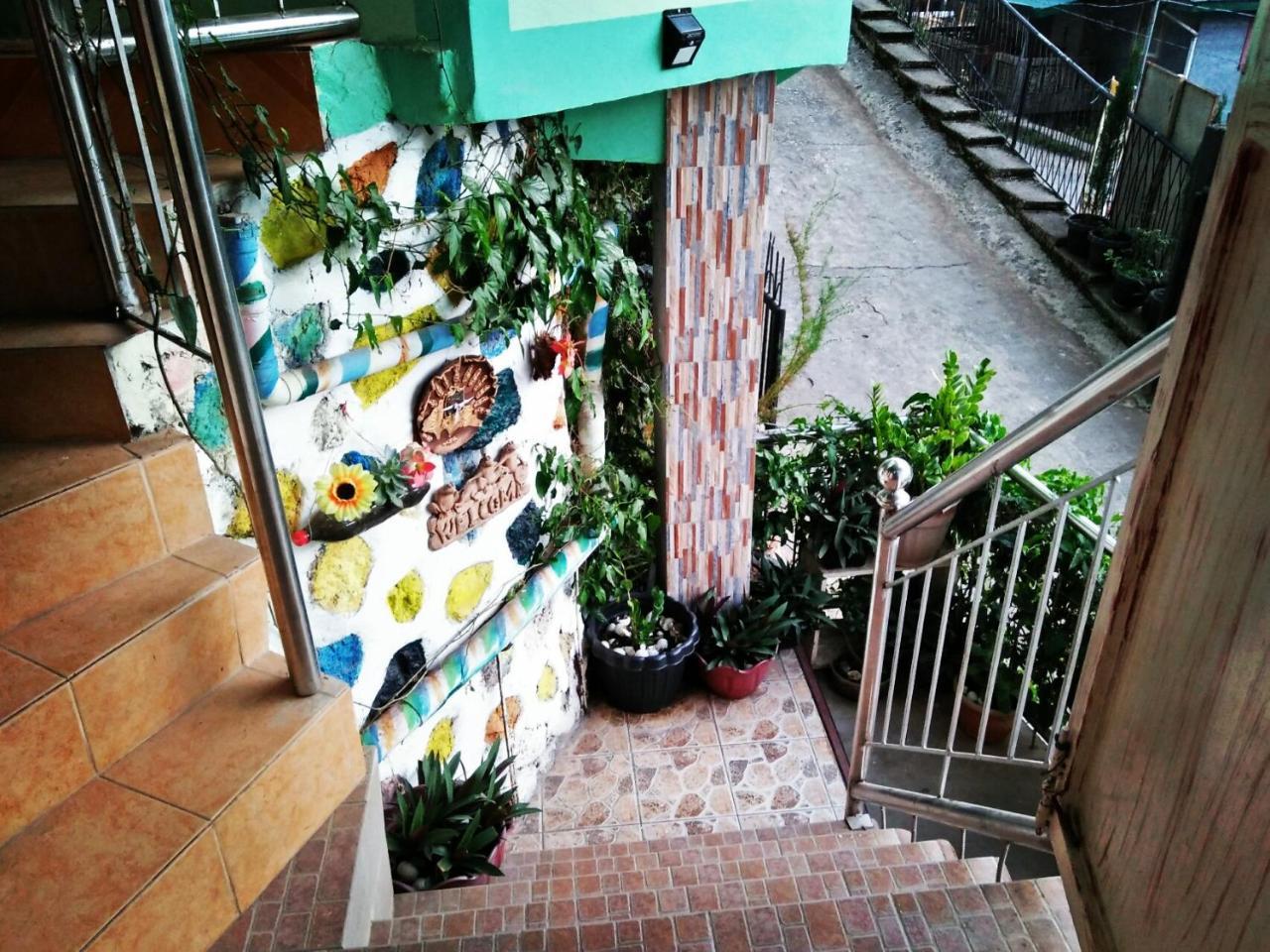 Shamrock Tavern 사가다 외부 사진